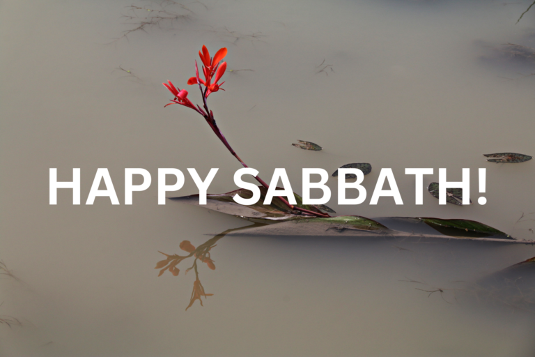 HAPPY SABBATH IN 100 LANGUAGES!